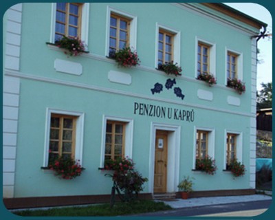cozy rural family guesthouse in forested hills, Nečtiny Czech village, clean bright rooms
