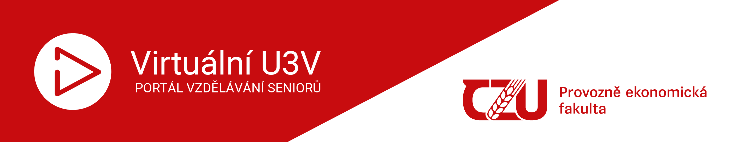 Logo VU3V 09